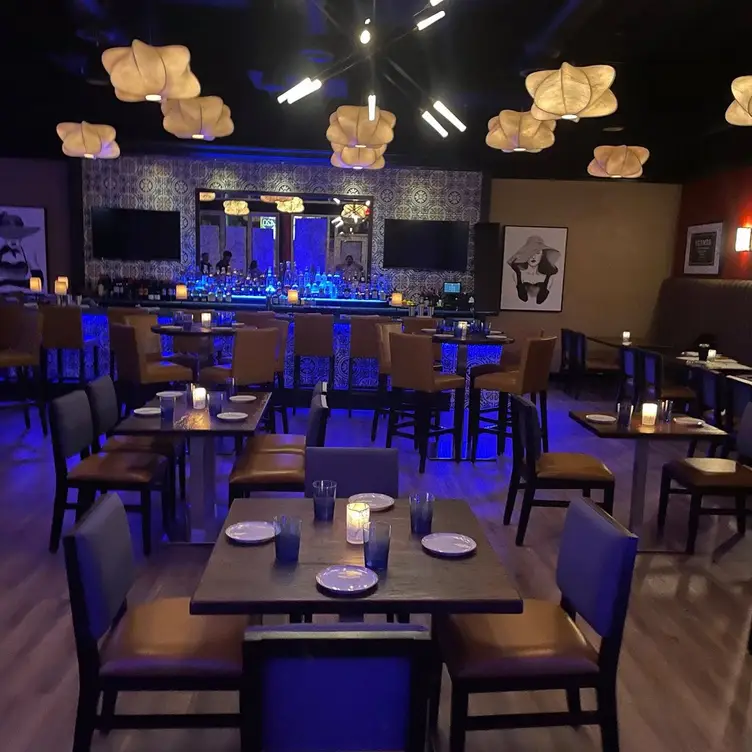 Opus restaurant & lounge，FLSarasota