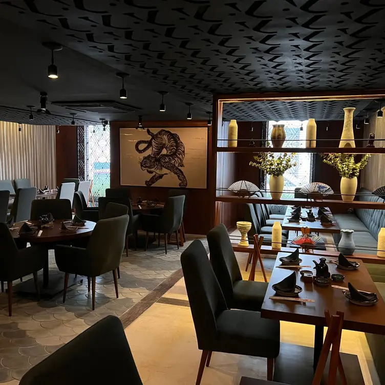 yakuza centro, Mérida, YUC