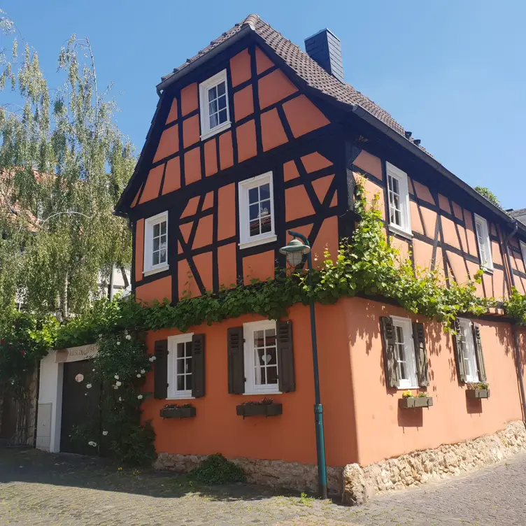 Außenansicht der Riesling Stuben Hochheim - Riesling Stuben Hochheim HE Hochheim am Main