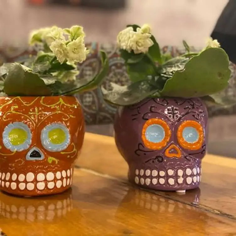 La Patrona Restaurant Sherwood Park, , AB OpenTable