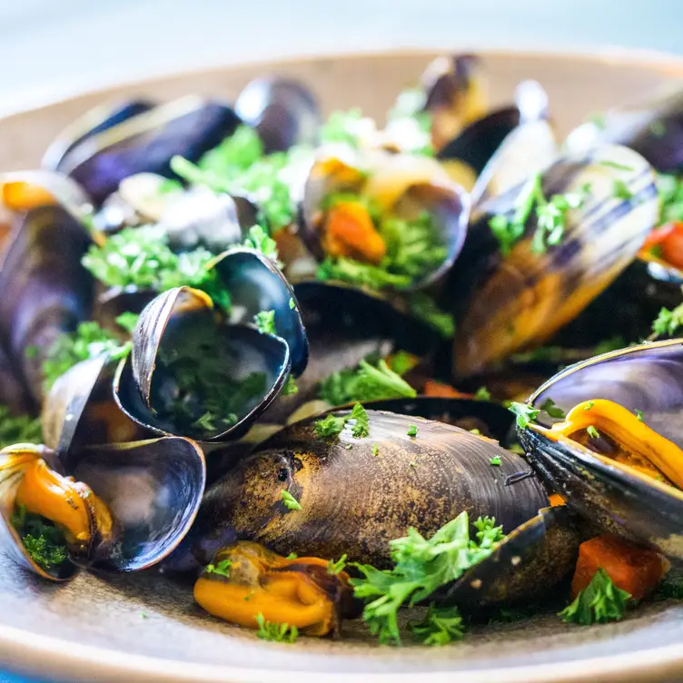 The Orange Artichoke Restaurant Bath, Somerset OpenTable