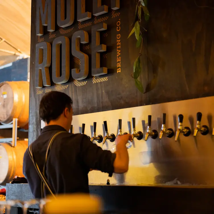 Molly Rose Brewery, Collingwood, AU-VIC