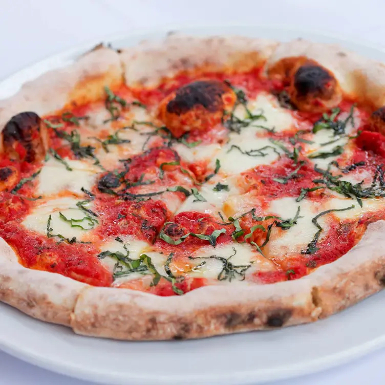 Cafe Santorini Restaurant Pasadena, CA OpenTable