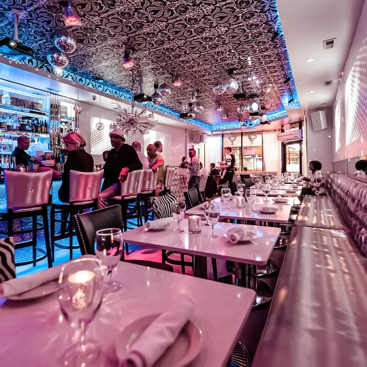 Restaurante Kit kat Lounge & Supper Club Chicago, , IL OpenTable