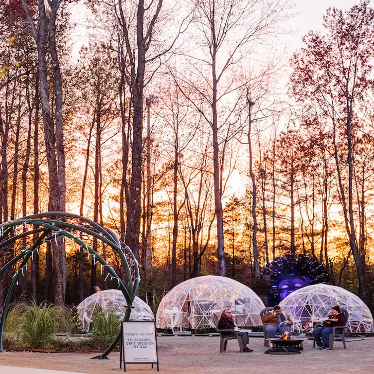 Igloo Reservations at Winter Park at the Orion, Huntsville, AL