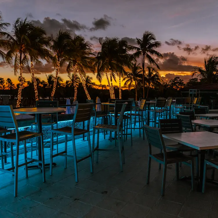 NOMA BEACH at Redfish, Coral Gables, FL NOMA BEACH at Redfish, Coral Gables, FL
