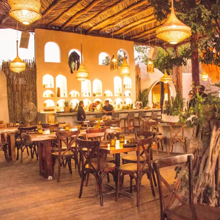 EL AGAVERO RESTAURANTE, Tulum, ROO