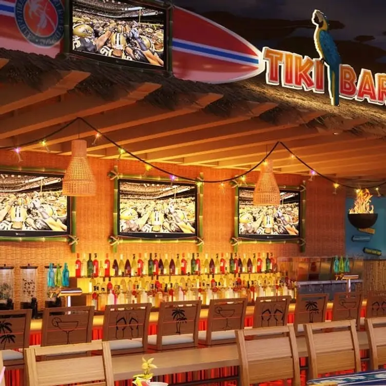 Margaritaville Pigeon Restaurant Pigeon TN OpenTable