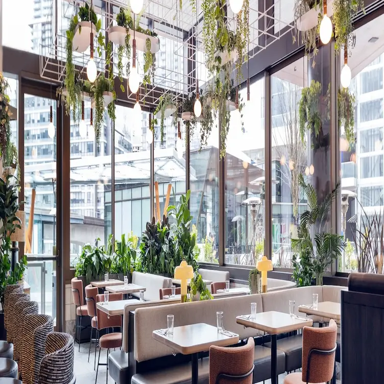 Earls Kitchen + Bar - Brentwood