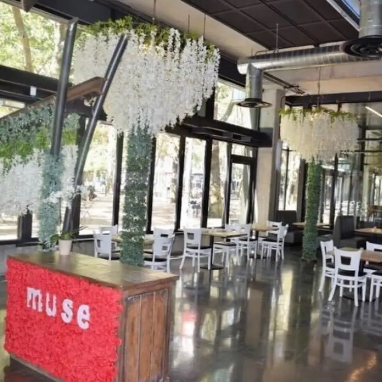 Muse Lounge & Restaurant, Seattle, WA