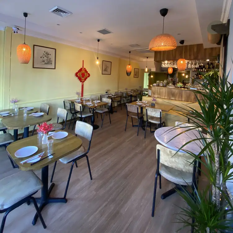 Xinxin, London, Greater London