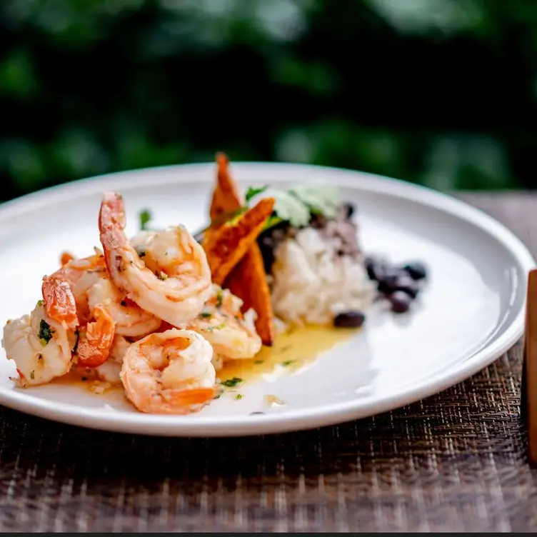 7 Seas Seafood Grille Restaurant - San José del Cabo, BCS | OpenTable