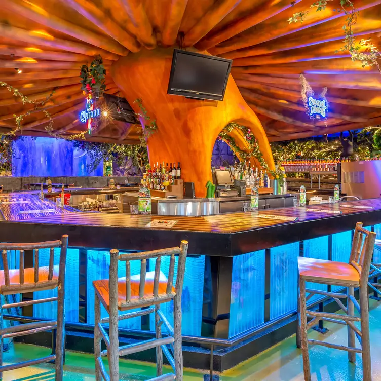 During the thunderstorm - Picture of Rainforest Cafe, Schaumburg -  Tripadvisor