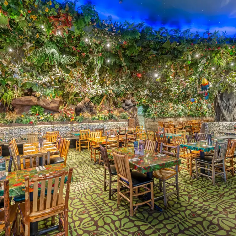 dining area - Picture of Rainforest Cafe, Schaumburg - Tripadvisor