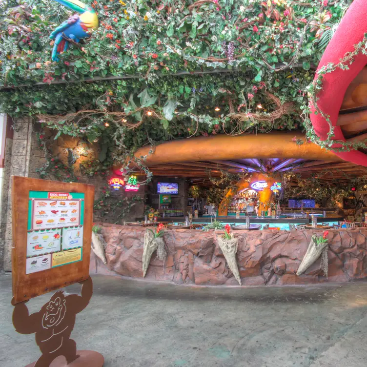 Rainforest Cafe - Sawgrass Mills (Ft. Lauderdale) Restaurant - Sunrise, FL