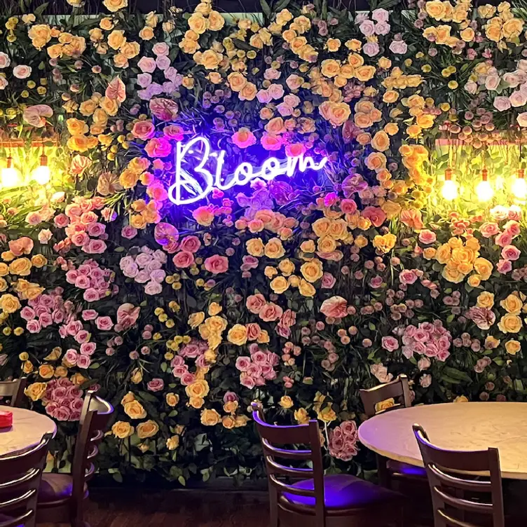 Bloom Botanical Bistro, Forest Hills, NY