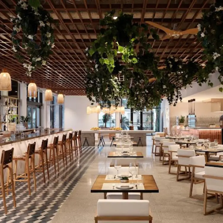 Olive and Sea Restaurant - Fort Lauderdale, FL | OpenTable