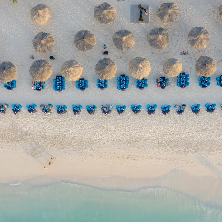 Passions on the Beach - Passions on the Beach, Eagle Beach, Oranjestad