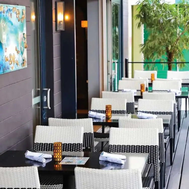 Wild Sea Patio - Wild Sea - Las Olas，FLFort Lauderdale