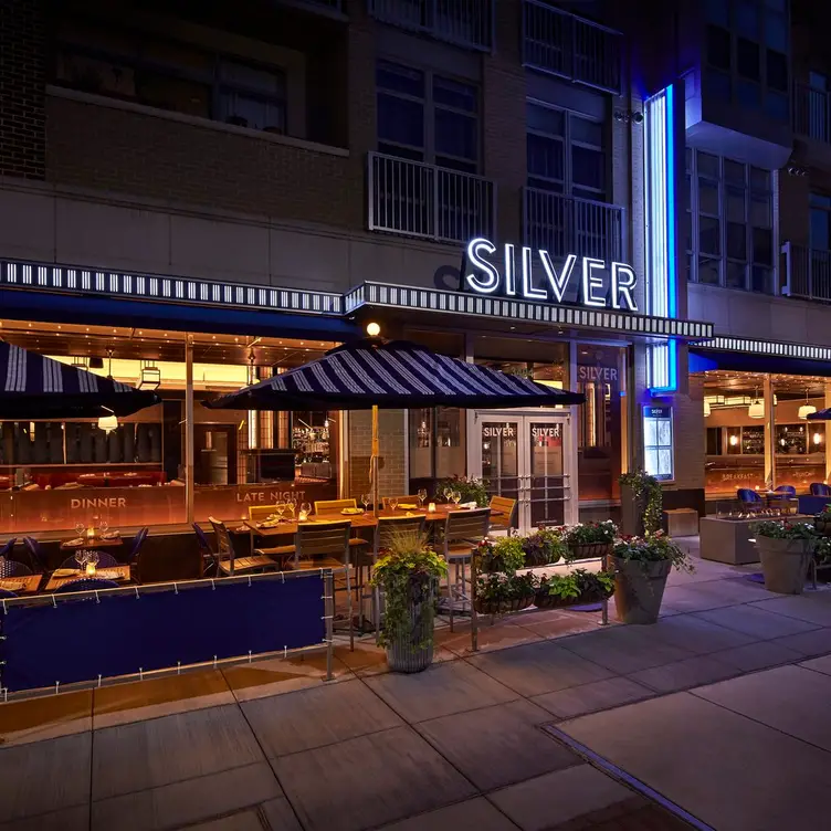 Silver - Cathedral Commons，DCWashington