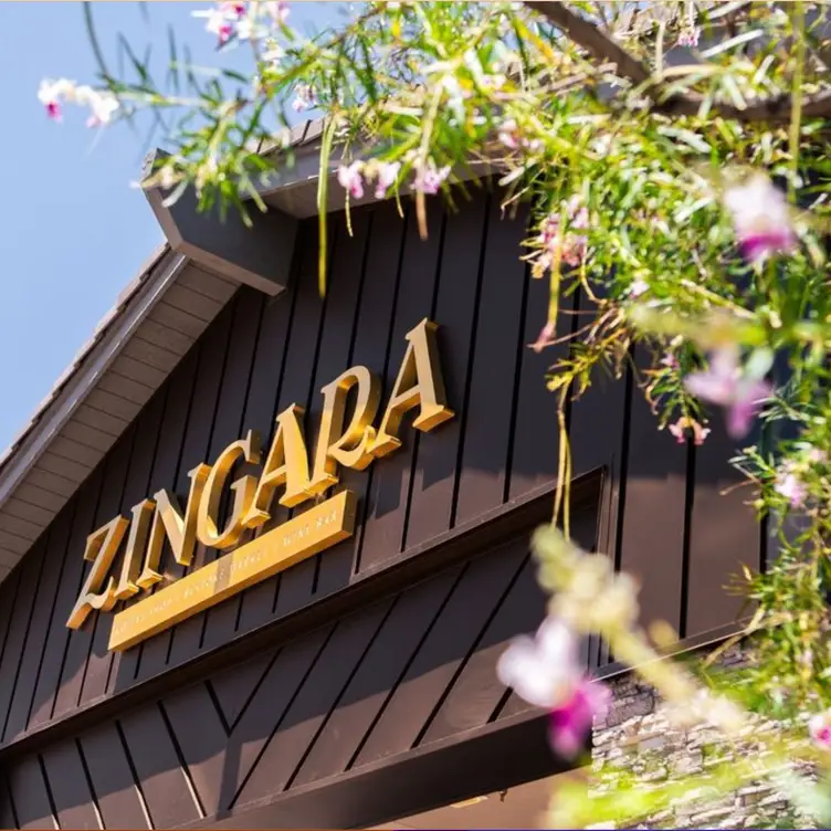 Zingara AZ Scottsdale