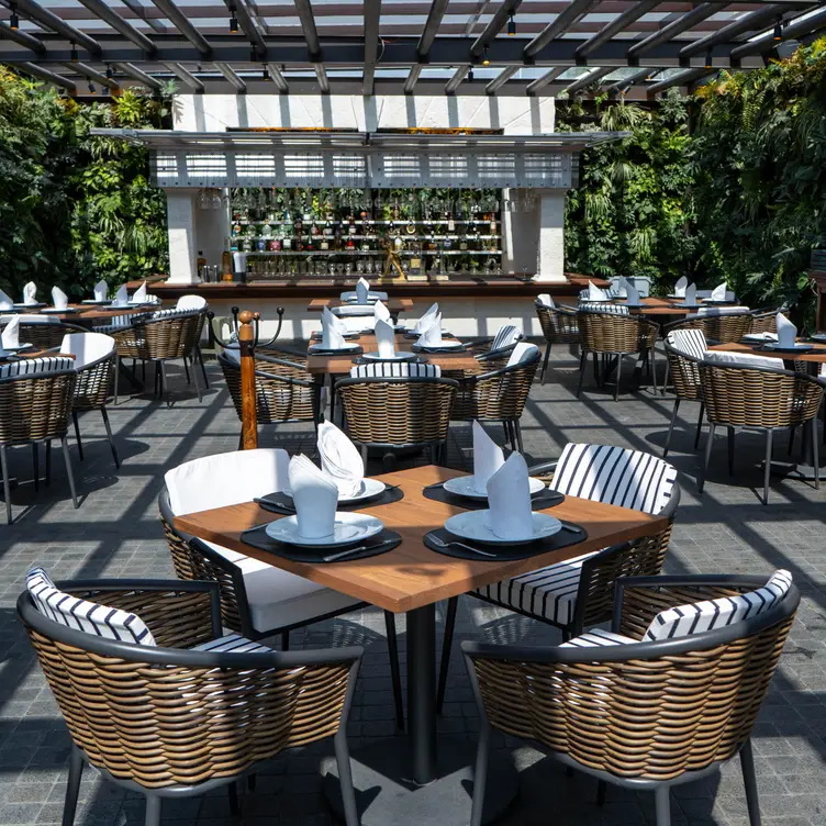 Terraza  - Cambalache - Polanco, Mexico, CDMX