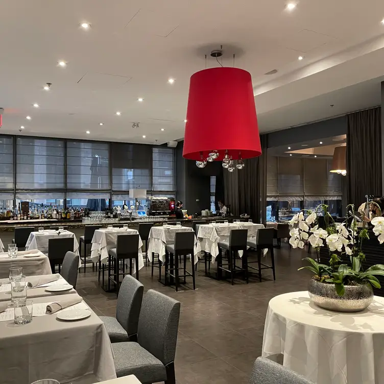 Bar and lounge  - Modus Ristorante，ONToronto