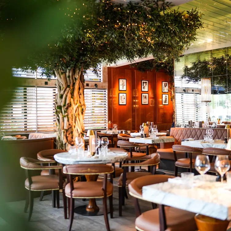 Cibo Wilmslow, an Italian restaurant in Cheshire - Cibo Wilmslow Cheshire East Wilmslow