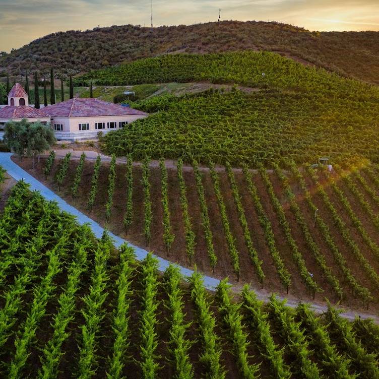 Temecula Ca Vineyard With Restaurant Near Me The Cave Restaurant