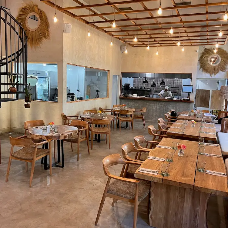 Flora Plant Kitchen