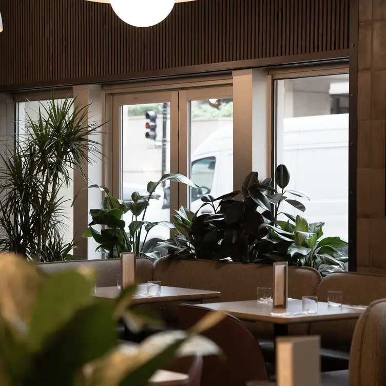 Earls Kitchen + Bar - Test Kitchen - Vancouver