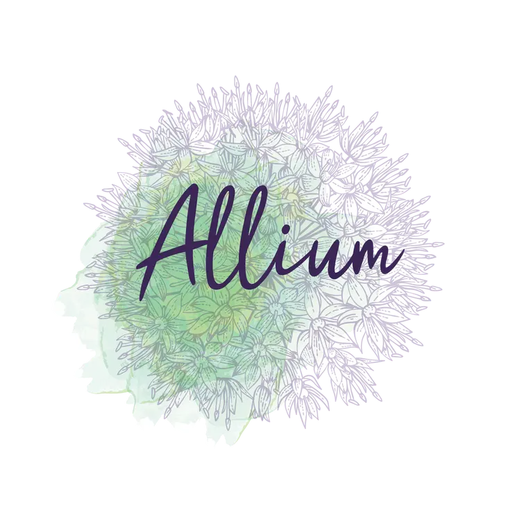Allium, Salisbury, Wiltshire