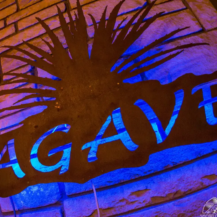 Mexican Food for the whole family  - Agave，COAvon