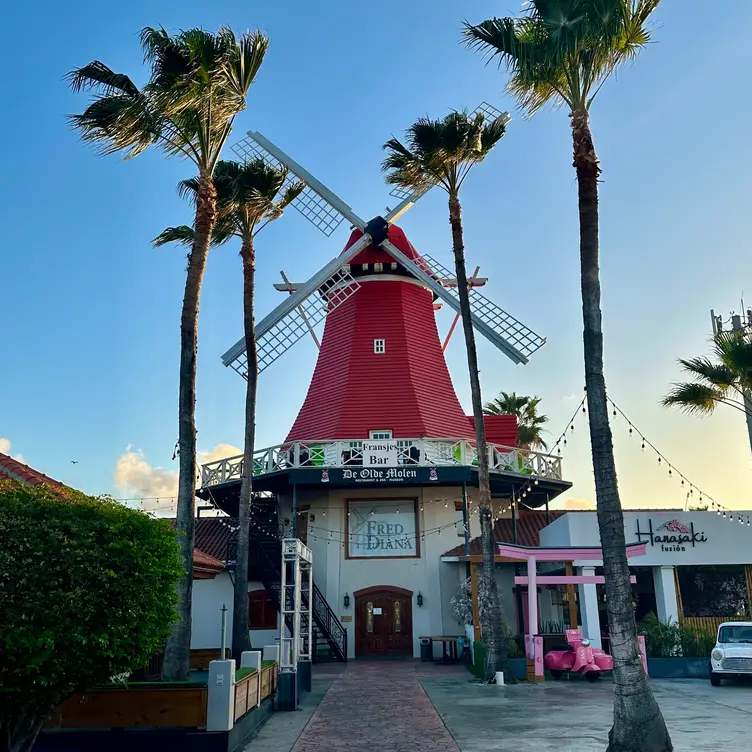 King Fred & Princess Diana，PalmbeachOranjestad