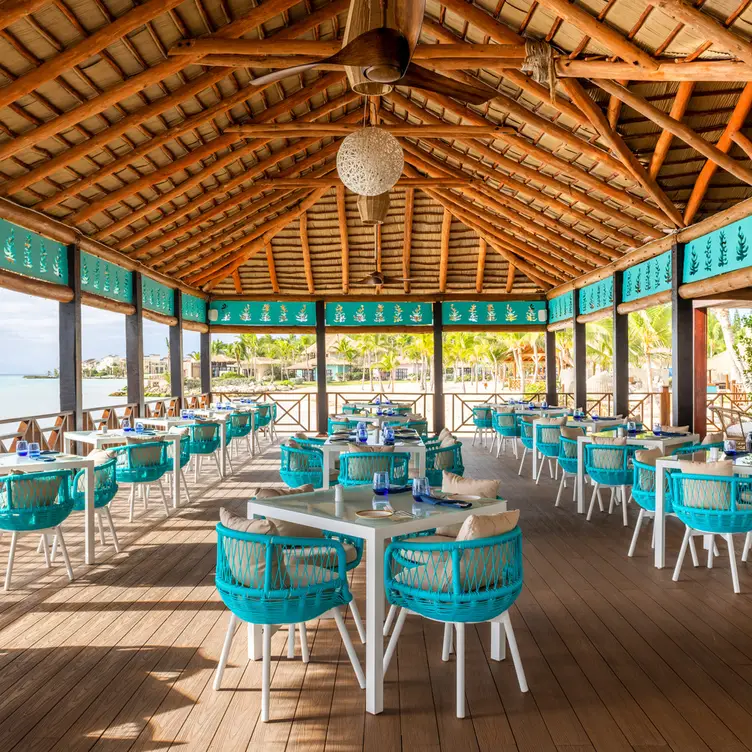 Blue Marlin, Seafood Specialties La Altagracia Punta Cana