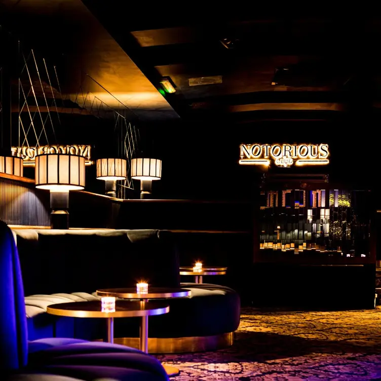 Notorious Club, Rome, Rome