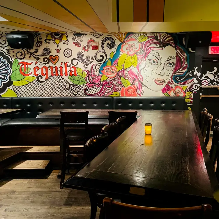 Le Tequila Bar- +18 Years, Montréal, QC