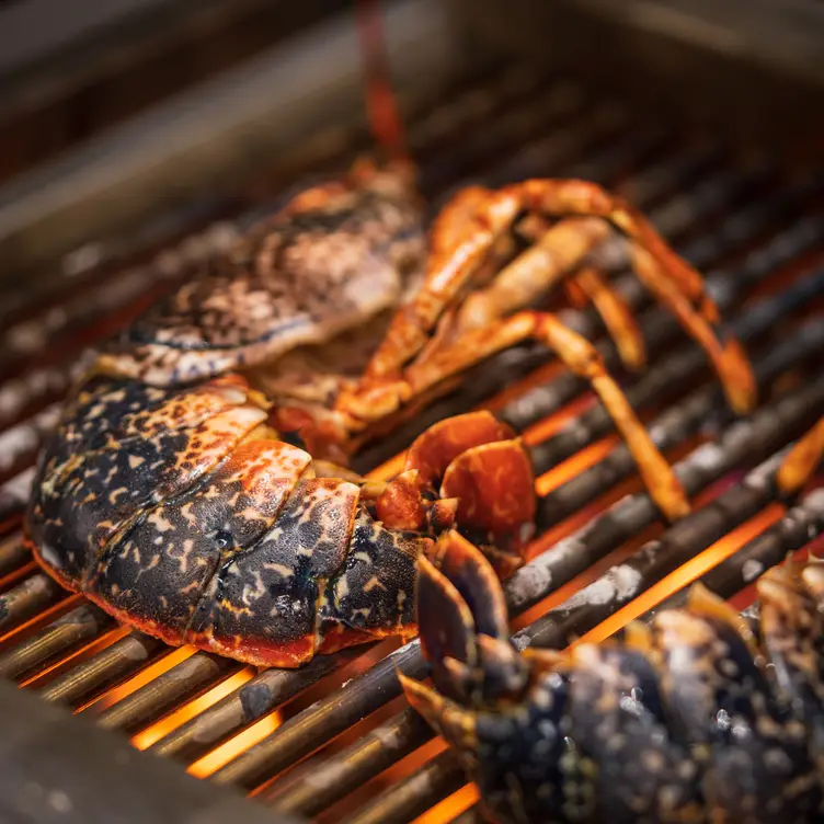 Our local lobsters on the Japanese Robata Grill.   - Smoking Lobster Ventnor, Ventnor, Isle of Wight