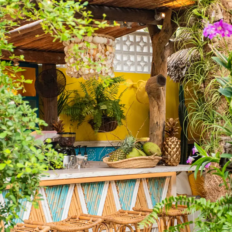 The Coco Café - Adults Only Restaurant - Noord, Aruba | OpenTable