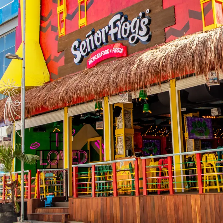 Señor Frogs - Playa del Carmen 8va, Playa del Carmen, ROO