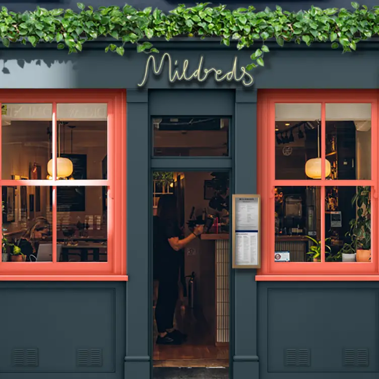 Mildreds Soho opening 16 Oct, London, Greater London