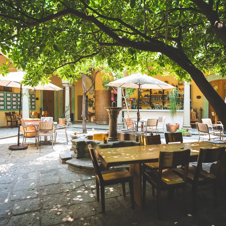 Restaurante Sierra Azul, Oaxaca de Juárez, OAX