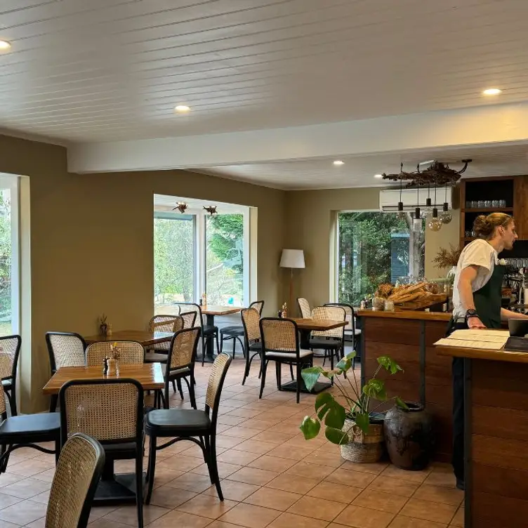 Enjoy fresh flavours and a warm atmosphere. - Gia Cafe & Bistro AU-NSW Leura