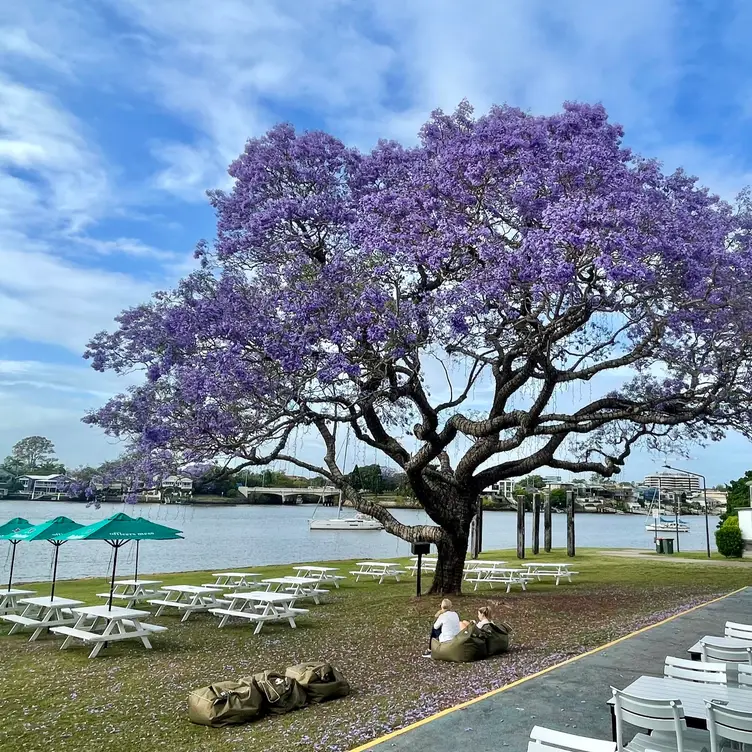 Officers Mess AU-QLD New Farm