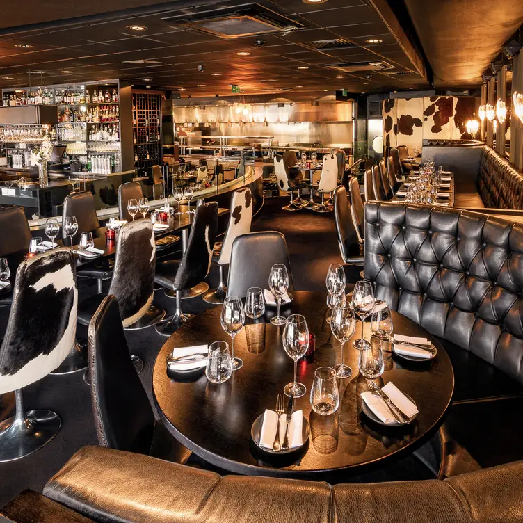 Gaucho Canary, London, 