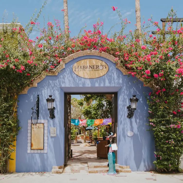 Habanero's Gastro Grill, San Jose del Cabo, BCS