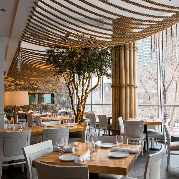 A contemporary Greek restaurant downtown Chicago - Avli on The Park - Lakeshore East, Chicago, IL