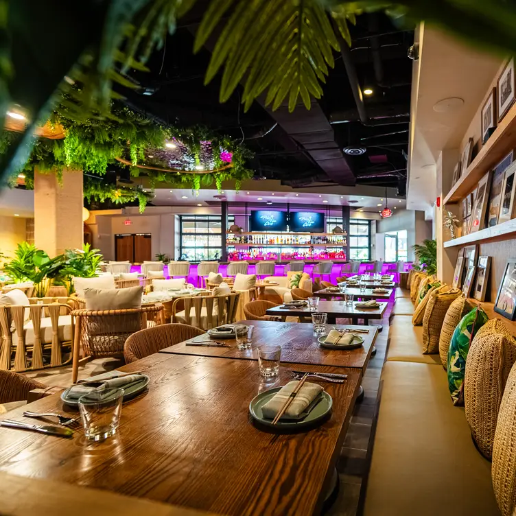 Laid-Back Luxury &amp; Upscale Coastal Cuisine - Palm Tree Club Orlando FL Orlando