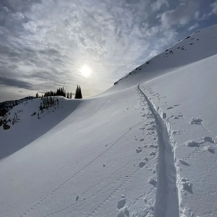 Alpinist，UTPark City