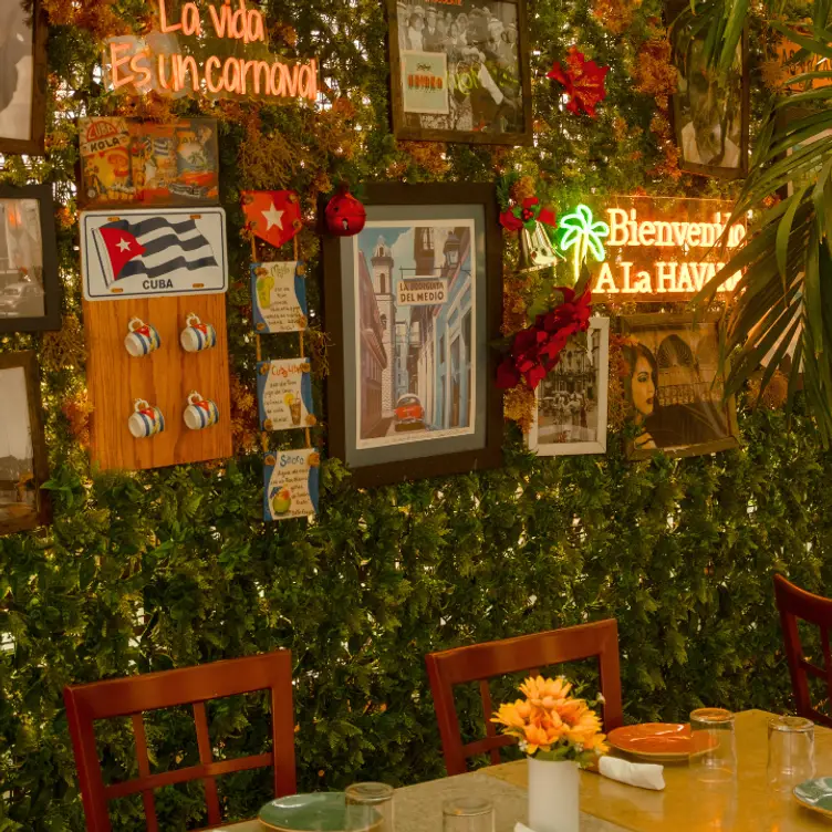 Havana Vieja Latin Restaurant Miami Beach，FLMiami Beach